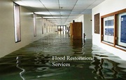 Flood Restoration Service in Toronto For To Avoid Related Infections