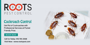 Cockroach Control Services in Canada | Roots Pest Control