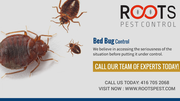 Bed Bug Control & Removal in Brampton | Roots Pest Control