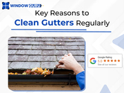 Why Is Regular Gutter Cleaning So Important? - WindowGuru