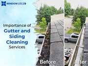 Importance of Gutter and Siding Cleaning Services - WindowGuru