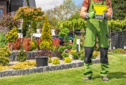 Lawn Fertilizing Services in Calgary - Evergreen Ltd