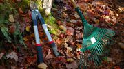 SEASONAL YARD CLEANING/MAINTENANCE SERVICE